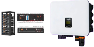 BMS-EV Controller – DIY LV Pylon HV batteries + FoxESS FoxESS H1/AC1