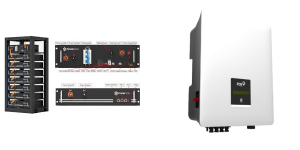 BMS-EV Controller – DIY LV Pylon HV batteries + Maple Leaf Northern Fox H1-H3-AC1-KH