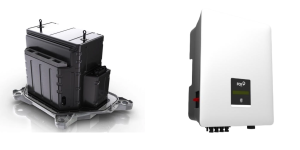 BMS-EV Controller – Renault Fluence ZE (22/36 kWh) + Maple Leaf Northern Fox H1-H3-AC1-KH